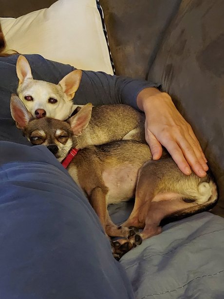 Pica amp amp Kelly schöne beste foto