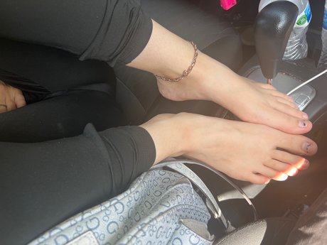 wolfie heiße perfekte galerie