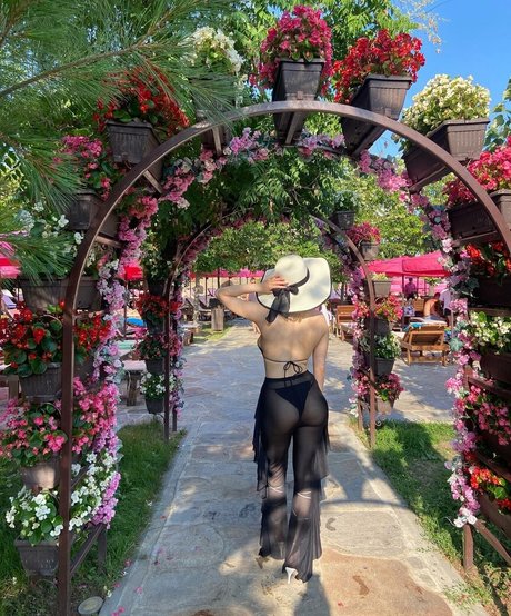 brasilianische anal-onlyfans kostenlose xxx galerien