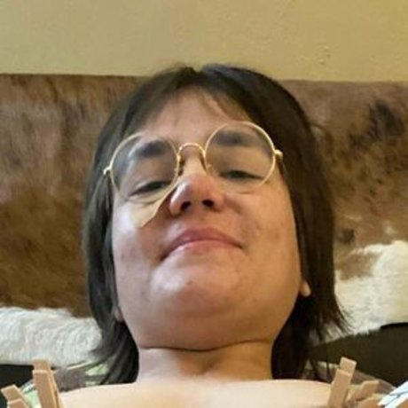 GiantAlaskanMoose top hd bild