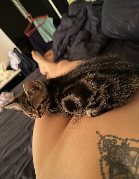 aylachoo hübsche freie archiv