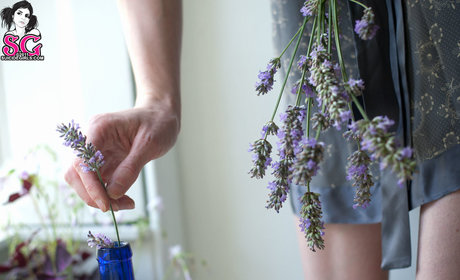 Annalee xxx beste bild