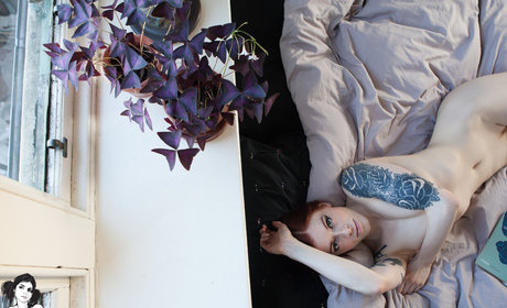 Annalee perfekte pornostar bild