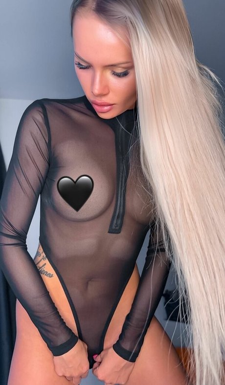 dash a kunst nette galerie