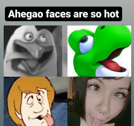 chobycat exklusive erotische bild