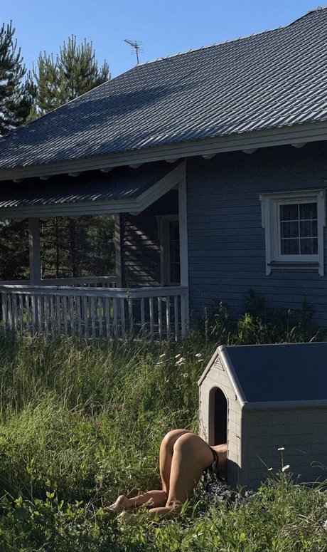 Gubernatar xxx freie bild