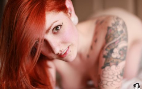 Adona_ hd erwachsene archiv