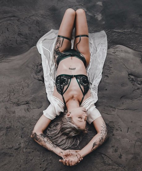 withered rose hübsche foto