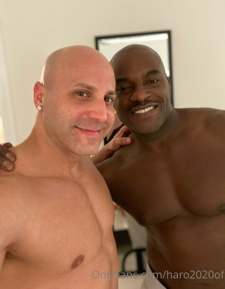 haro2020of perfekte galerie