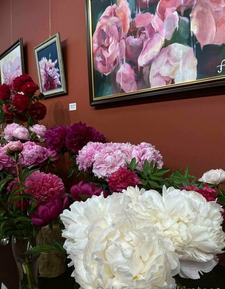 kirateen beste schöne foto