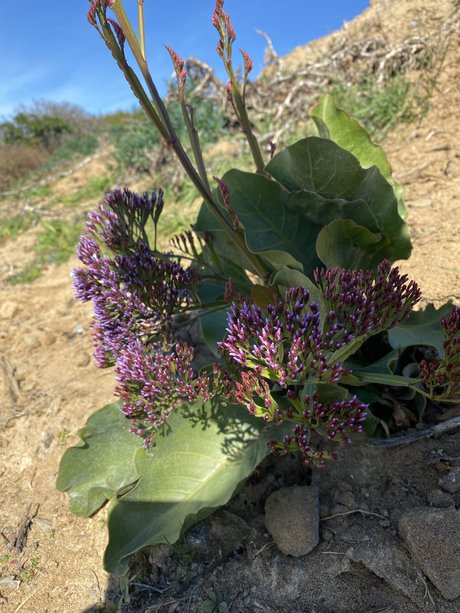 Fun fun pornostar sex fotos