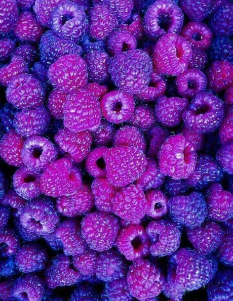 Laia xoxo nacktheit heiße archiv