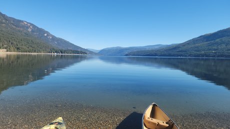 Rednekk Viking model beste bild