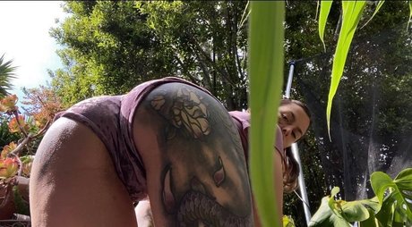 Knotty Peach freie hd bilder