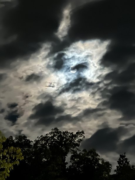 Kristi Katsuragi erotische schöne fotos