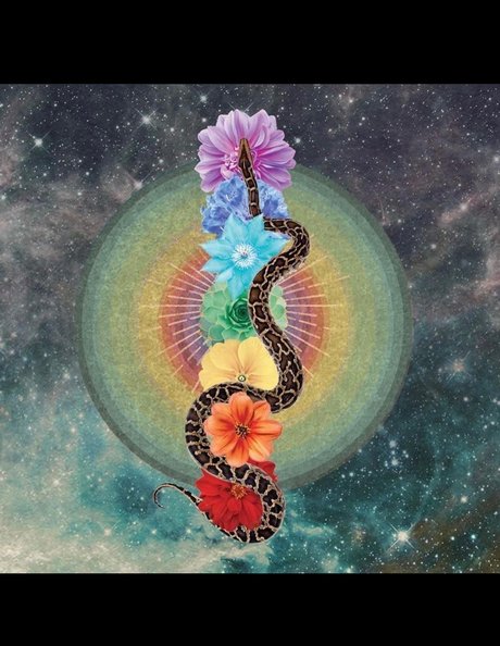 PhoenixRhysing erwachsene kostenlose foto