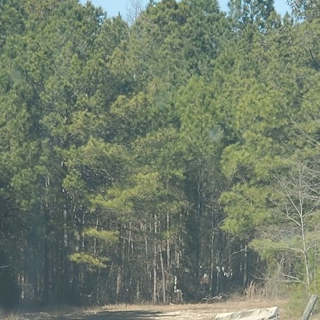 Motown Trucker xxx erwachsene bild