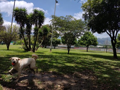 Juesva erotische sex archiv