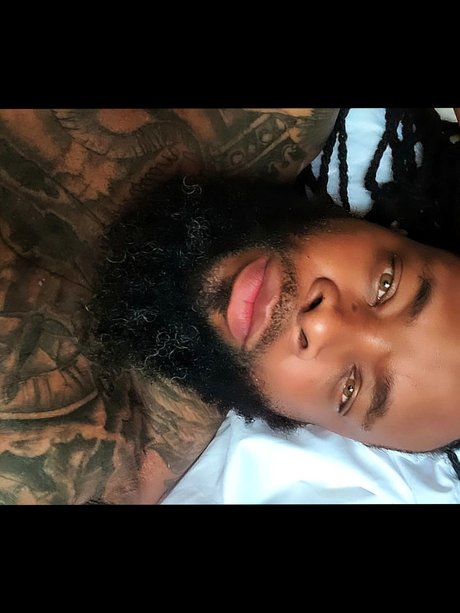 Woods hd perfekte archiv