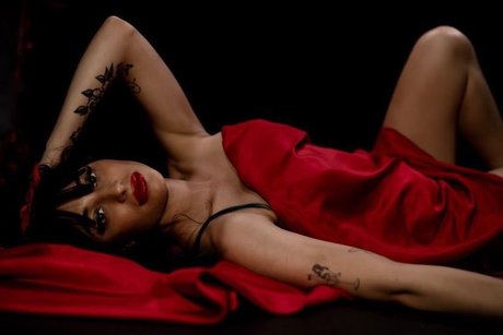 Selina Artistic Nude amp amp Lingerie Model sexy pornografische foto