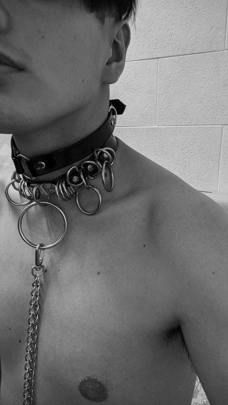 xronx model sex archiv