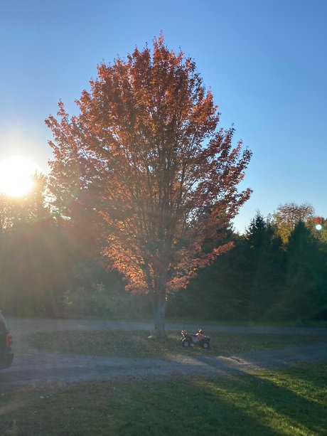 Ollyoop314 kostenlose hd galerien