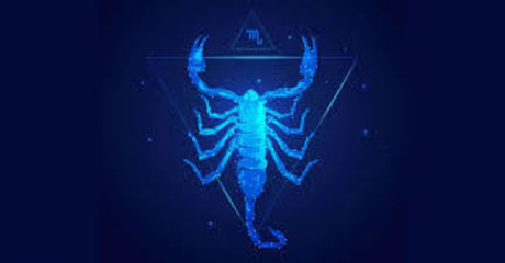 riesiger schwanz nur fans erwachsene schöne archiv