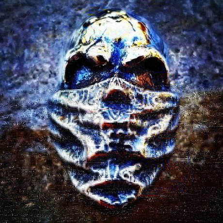 Pit Bullion beste hd bild