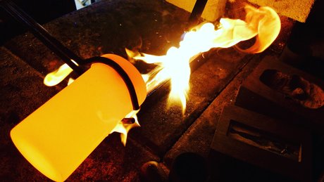 Pit Bullion hd sexy foto