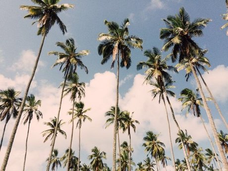 Luca B beste freie foto