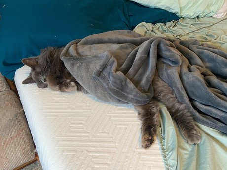 gothic-onlyfans nackt schöne bilder