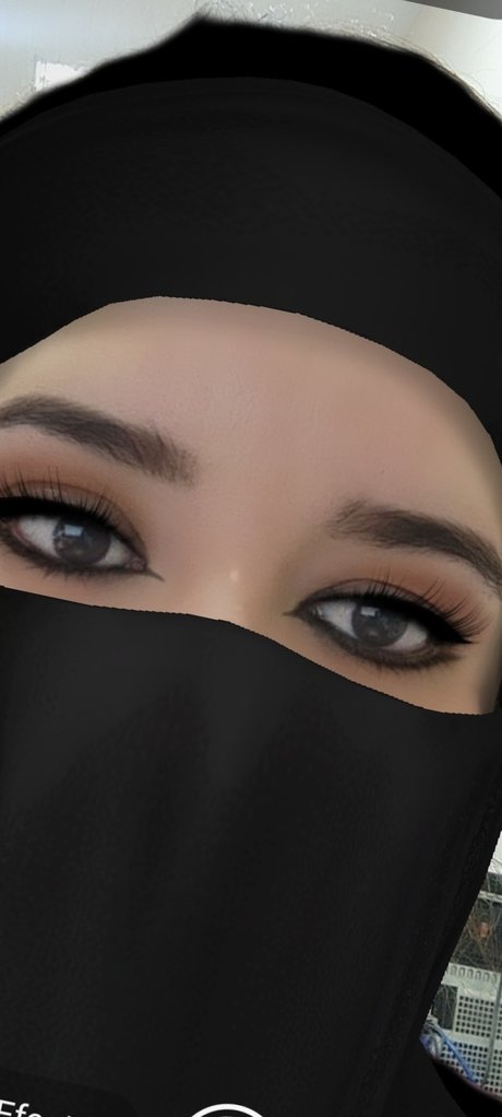 GApy model freie bild