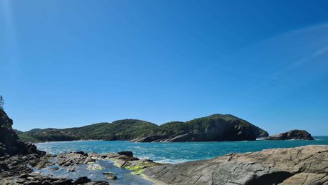 Rubens Braun schöne perfekte fotos