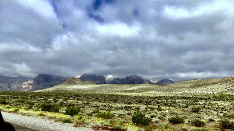 eBlood SiSK beste kostenlose bild