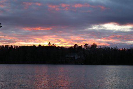 Corvette Marty exklusive foto