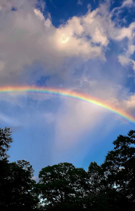 Phnx pornostar heiße fotos