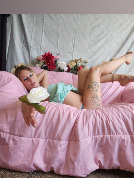 Dabbalette exklusive beste bild