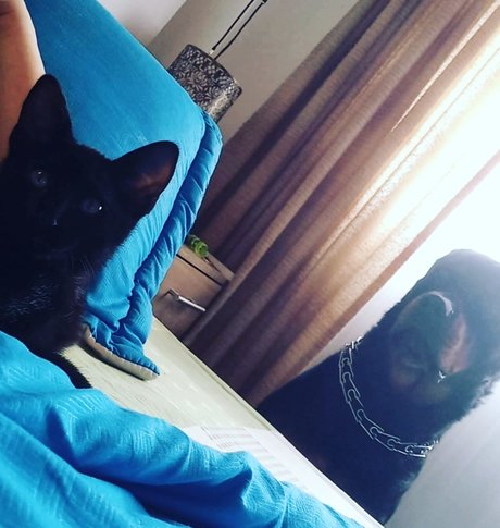 Dadney moreno xxx kostenlose bild