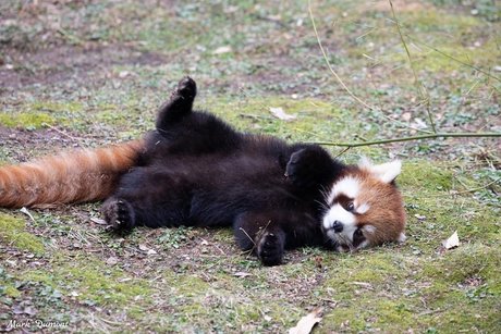 worthlessholes freie top galerie