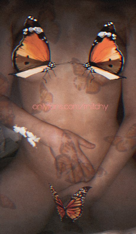 Mitchy Michelle perfekte pornografische bild