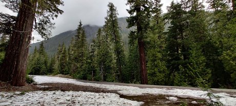 Divine Goddess PNW erwachsene sexy fotos