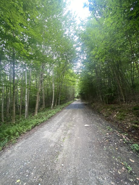 Heroe perdido9 freie top fotos