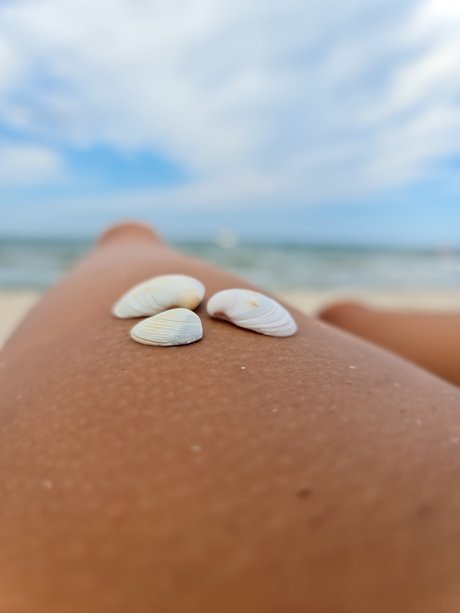 Shrek sexy kostenlose foto