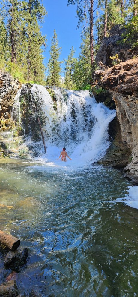 Bramble model archiv