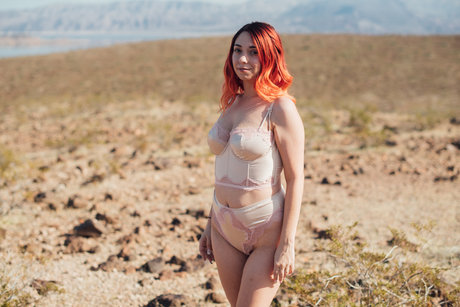 Tayler Texas top kostenlose galerie