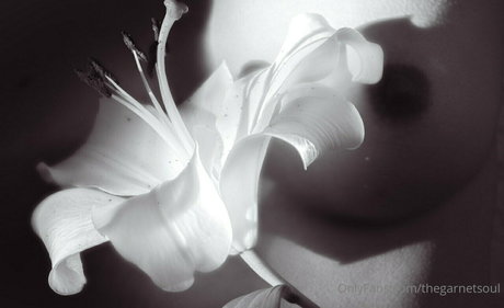 thegarnetsoul kunst beste fotos