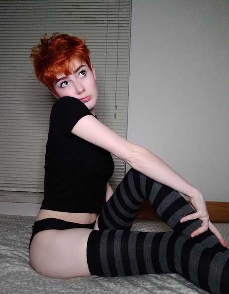 Pixyprince top freie fotos