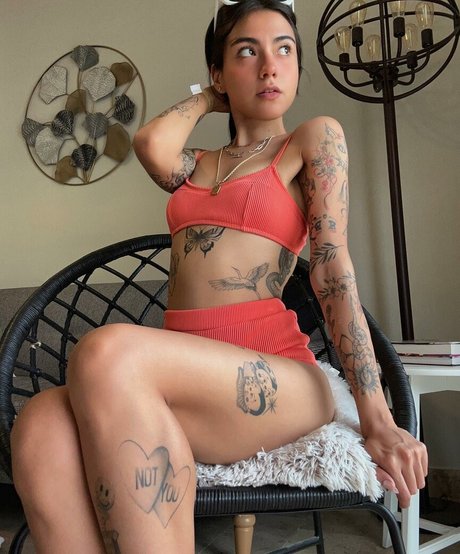 Ximenarojas p hd freie fotos