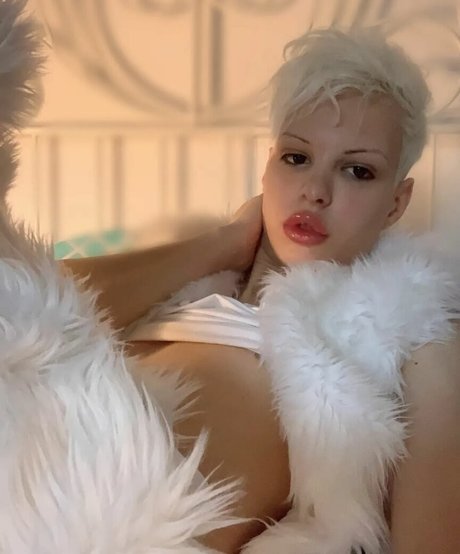 Blonditwink kunst hd archiv