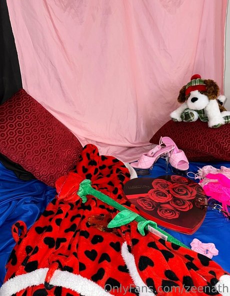 zeenath schöne erotische fotos